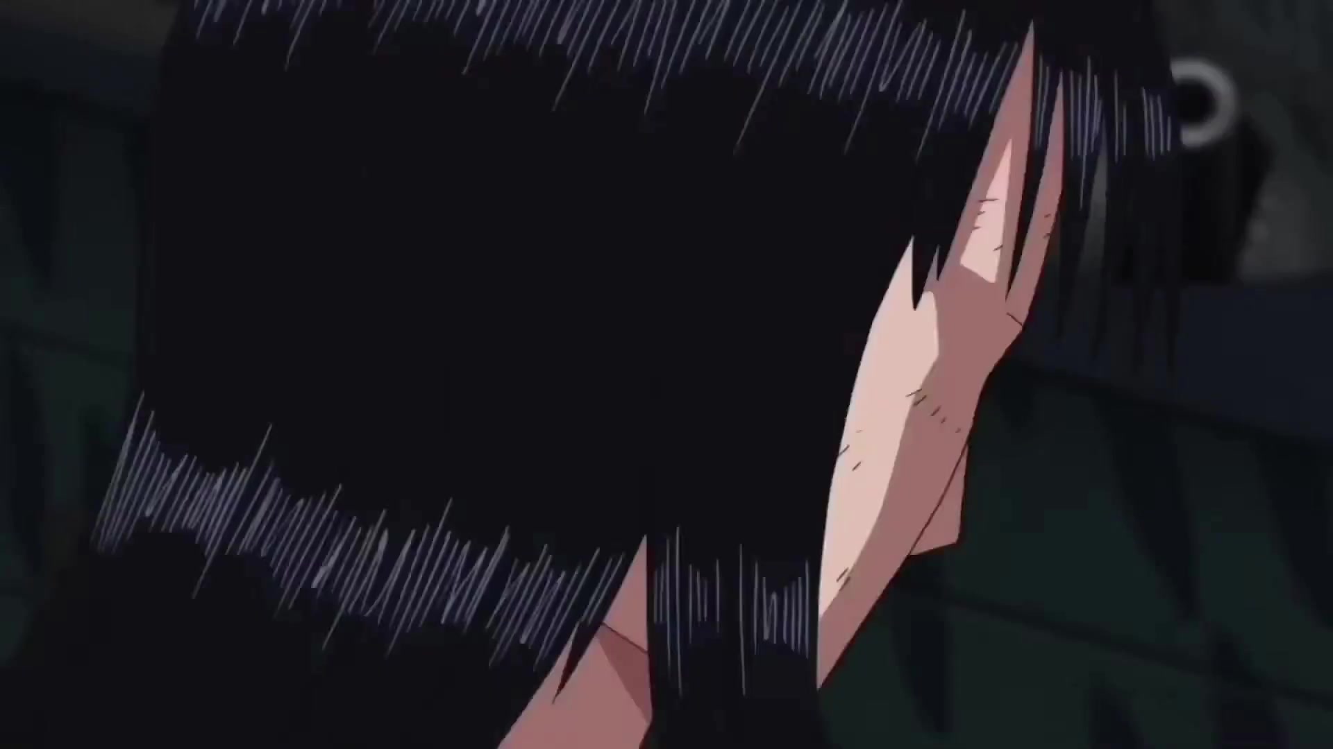 Robin_5.mp4